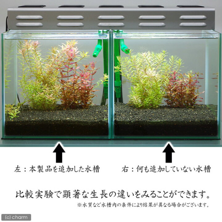 セラ フロレネッテ ２４錠 水草 栄養素 タブレット 錠剤 うのにもお得な