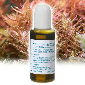Fe@EnergyiGtC[GiW[j@ANA@Zk^Cv@20mL@ỉh{tj@֓