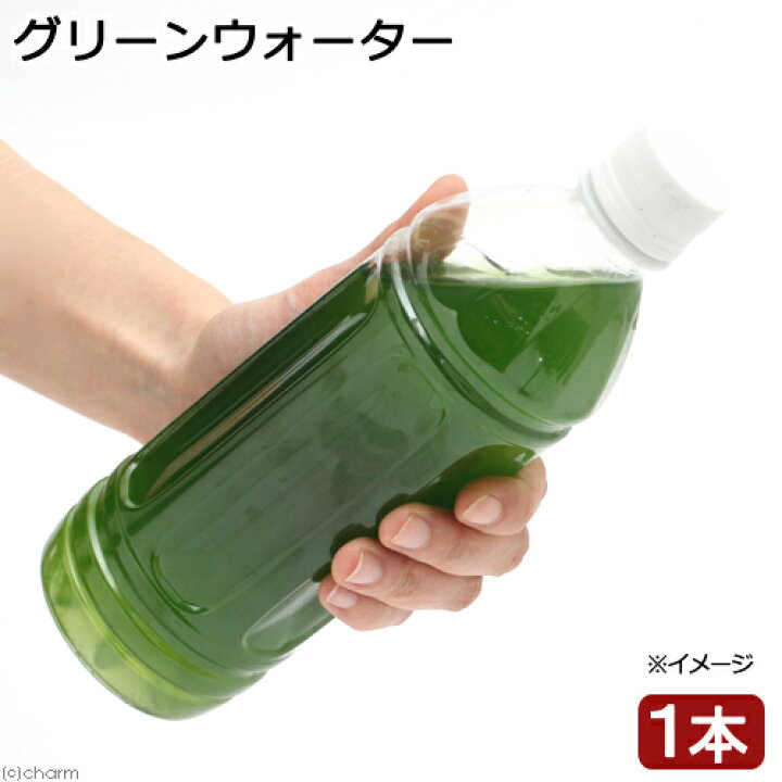 市場 生餌 ５００ｍｌ １本 タマミジンコ入り飼育水