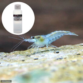 （エビ）ブルージェリーシュリンプ（10匹）＋シラクラシュリンプミネラルCa＋　100ml　本州四国限定