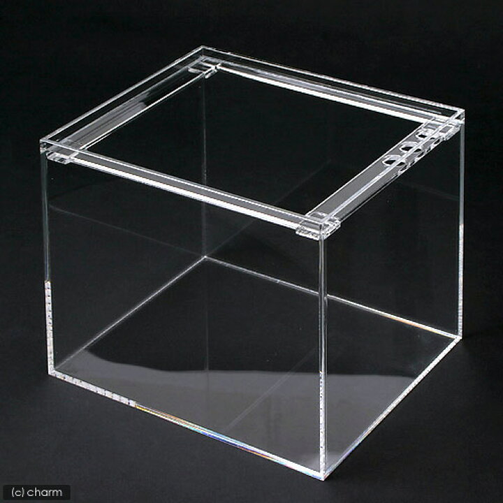 楽天市場】水槽 アクリル水槽 ラクシス No．12 （300×250  