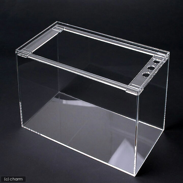 楽天市場】水槽 アクリル水槽 ラクシス No．25 （400×200  