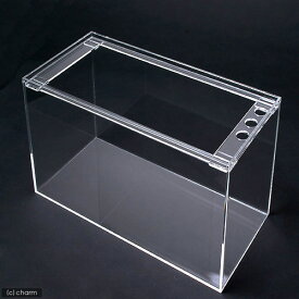 楽天市場 チャーム 水槽 熱帯魚 アクアリウム ペット ペットグッズ の通販