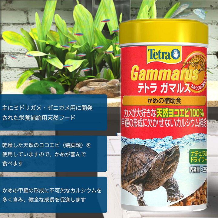 楽天市場 テトラ ガマルス ５０ｇ 爬虫類 カメ 餌 エサ 水棲ガメ用 関東当日便 Charm 楽天市場店