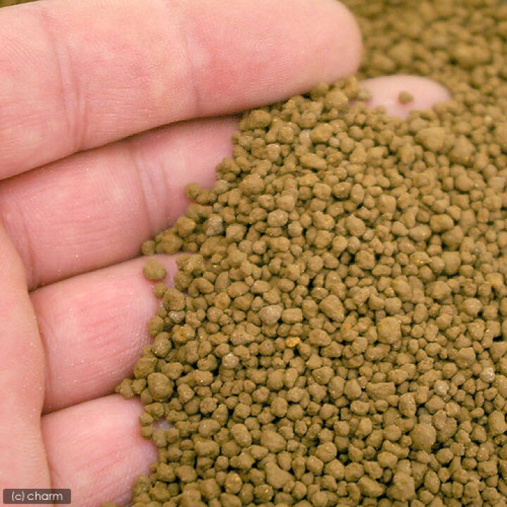 楽天市場 アクアシステム プロジェクトソイル めだか用 ８ｋｇ 黄色 熱帯魚 用品 お一人様２点限り 関東当日便 Charm 楽天市場店