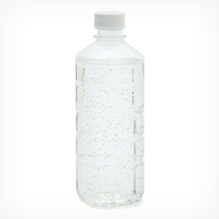 楽天市場 生餌 カイミジンコ入り飼育水 約３００匹前後 ５００ｍｌ １本 Charm 楽天市場店