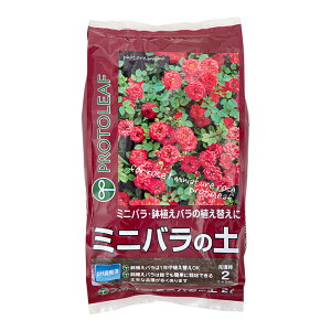 |{y@vg[t@~jo̓y@2L@֓