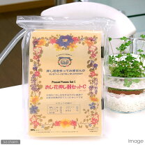 楽天市場】押し花 プレス 機の通販