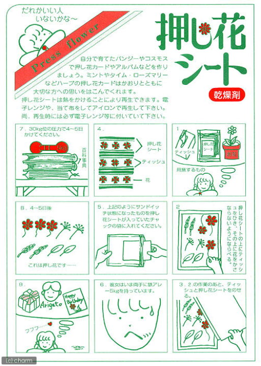 楽天市場 押し花乾燥シート 厚さ３ｍｍ レギュラーサイズ ６枚 １８０ ２６５ｍｍ 関東当日便 Charm 楽天市場店
