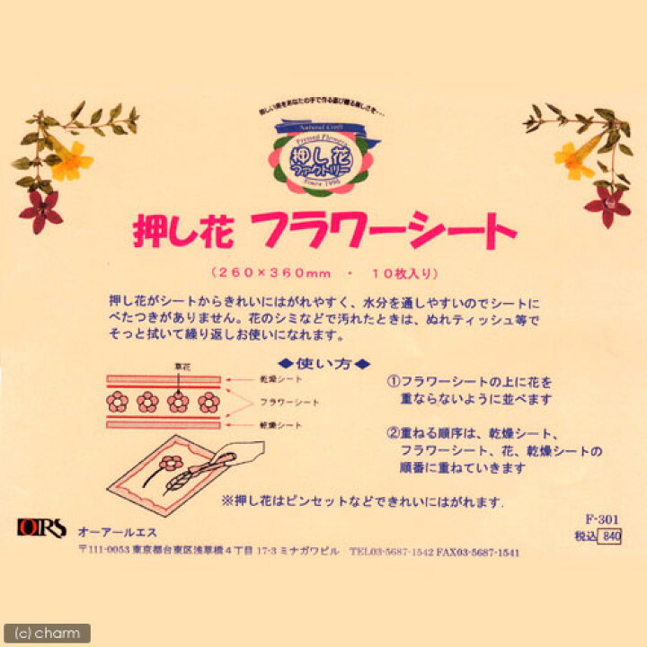 押し花乾燥シート 厚さ３ｍｍ レギュラーサイズ ６枚 １８０ ２６５ｍｍ 全商品オープニング価格