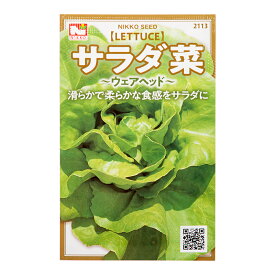 野菜の種　サラダ菜　品番：2113　家庭菜園【HLS_DU】　関東当日便