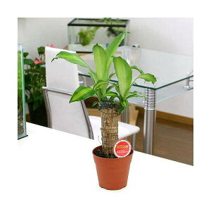 iϗtAjhZi@}bTQAiiK̖؁j1{A@4i1j