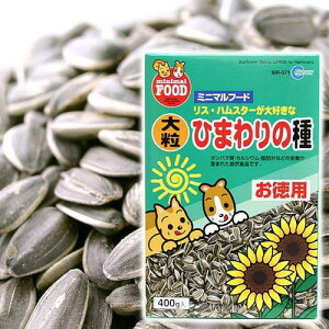 y11^1zIm21I1ő100@}J@嗱Ђ܂̎@p@400g@nX^[t[h@@@GT@a