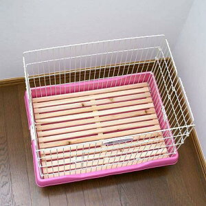 }J@rbgP[WpXmR@@P[W@p[c@֓