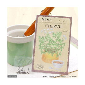 ハーブ　HERB　（チャービル）　品番：814　家庭菜園【HLS_DU】　関東当日便