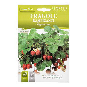 HORTUS@C^ẢԂ̎@ApCXgx[@ArtDF014@ƒ؉@֓