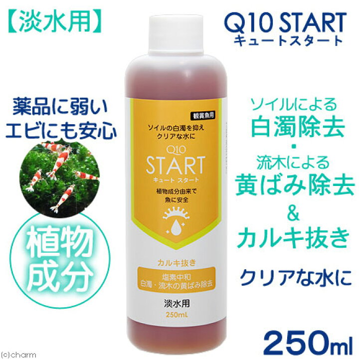 楽天市場 魚 エビに優しいカルキ抜き ｑ１０スタート 淡水用 ２５０ｍｌ 植物由来 白濁除去 関東当日便 Charm 楽天市場店