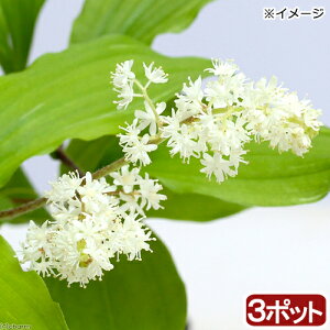 iR쑐jLUTij3i3|bgZbgjixԁj