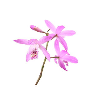 iR쑐jVij3`3D5i1|bgjixԁj