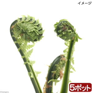 iR쑐jR؁@RS~iNT\ecj@3`4i5|bgZbgjƒ؉ixԁj