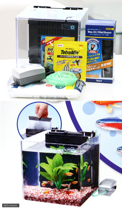 楽天市場】テトラ スマート熱帯魚飼育セット SP−17TF お一人様  