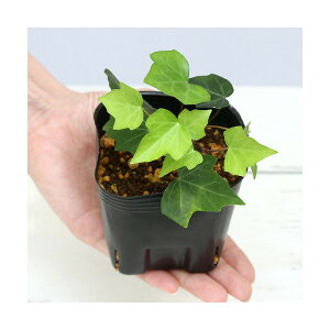 iR쑐jLd^iؒӁ@~Ӂj3i1|bgjixԁj