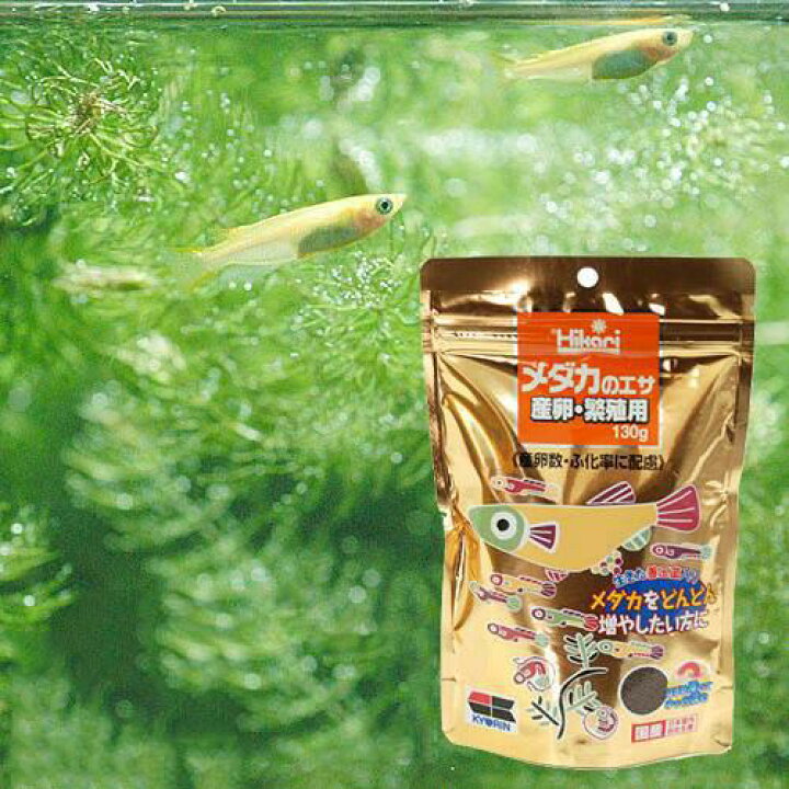 楽天市場 キョーリン メダカのエサ 産卵 繁殖用 １３０ｇ メダカの餌 繁殖 Hls Du 関東当日便 Charm 楽天市場店