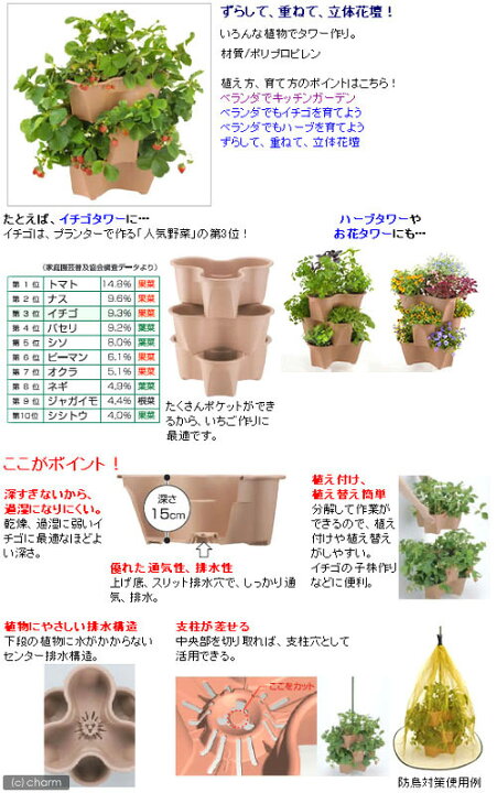 楽天市場 いちごタワー栽培セット ハーベリーポット ３ 培養土 肥料の５点セット 苗別売り 家庭菜園 お一人様１点限り 関東当日便 Charm 楽天市場店