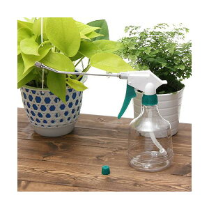 UEXv[iUqEOmYtj@500cc@57@֓