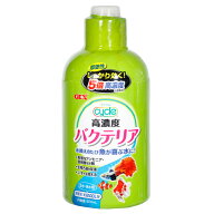 【5／15限定】当選確率2分の1！1等最大100％　GEX　サイクル　500mL　淡水・海水両用　バクテリア　熱帯…