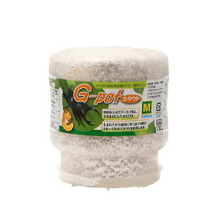 ێr@G|pot@X^Eg@1200cc@10{