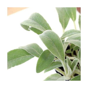 iϗtAjn[uc@YC[@3i1|bgj@ƒ؉