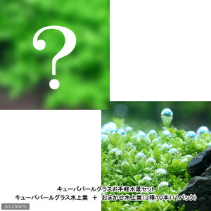 ij܂t@3Zbgiv10{j{@L[op[OXitjL[u^Cvi_ji1j