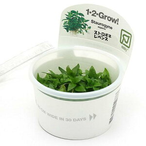 ijgD|{1|2|GROWI@XgMl@yXit̔|njgsJi_ji1Jbvj@kCEBq֗vۉ