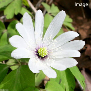 iR쑐jAY}C`Qi؁jixԁj@3i1|bgjixԁj