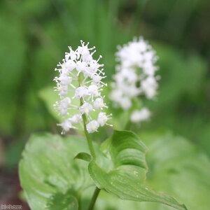 iR쑐j}Cd\Eiߑj@3i1|bgjixԁj