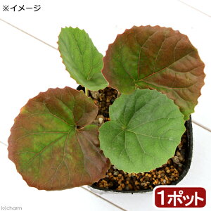 iR쑐jIICJK~i⋾j@3i1|bgj