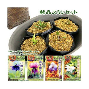 iR쑐jiX~Zbg@3i4|bgZbgjixԁj