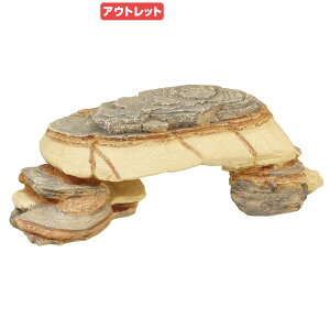 AEgbgi@OW@REPTIZOO@VF[bNf@L@঒ށ@VF^[@oXLO@CAEg@󂠂@֓