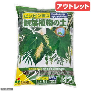 AEgbgi@|{y@Ԃ@ϗtA̓y@12L@ll6_@󂠂@֓