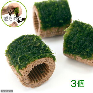 ijā@Ct}`ijăEB[Xitji_ji3j