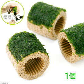 （水草）巻きたて　ライフマルチ（茶）マナウス産ウィローモス（無農薬）（1個）