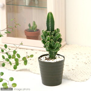 iAjT{e@ZEX@yBAiX@2D5`3i1j