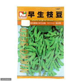 野菜の種　早生枝豆　品番：1221　家庭菜園【HLS_DU】　関東当日便