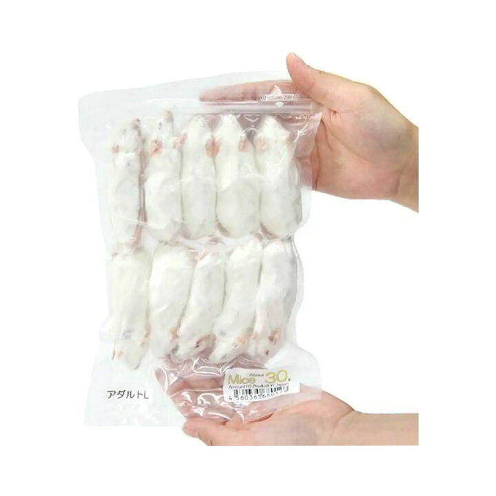 楽天市場】冷凍☆アダルトL カタ養殖 Mice30 冷凍マウス（10 