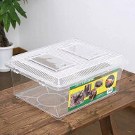 プラケース　飼育容器　特大フラット　クリア（430×340×190mm）　虫かご　昆虫　お一人様4点限り　関東…