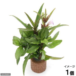 ijCt}`ijnCO~bNXitji_ji1j