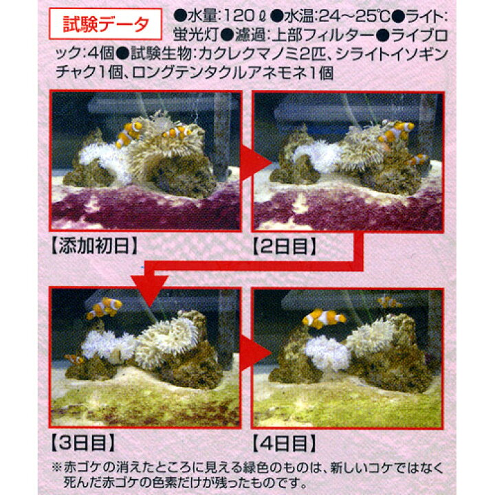 最上の品質な カミハタ アンチグリーン 1個 X 1 Shipsctc Org