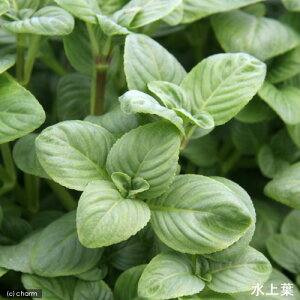 ijmtBspDCi[hiC{CXjitji_ji5{j