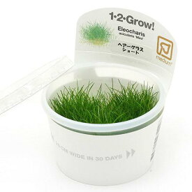 （水草）組織培養1－2－GROW！　ヘアーグラスショート（液体培地）トロピカ製（無農薬）（1カップ）